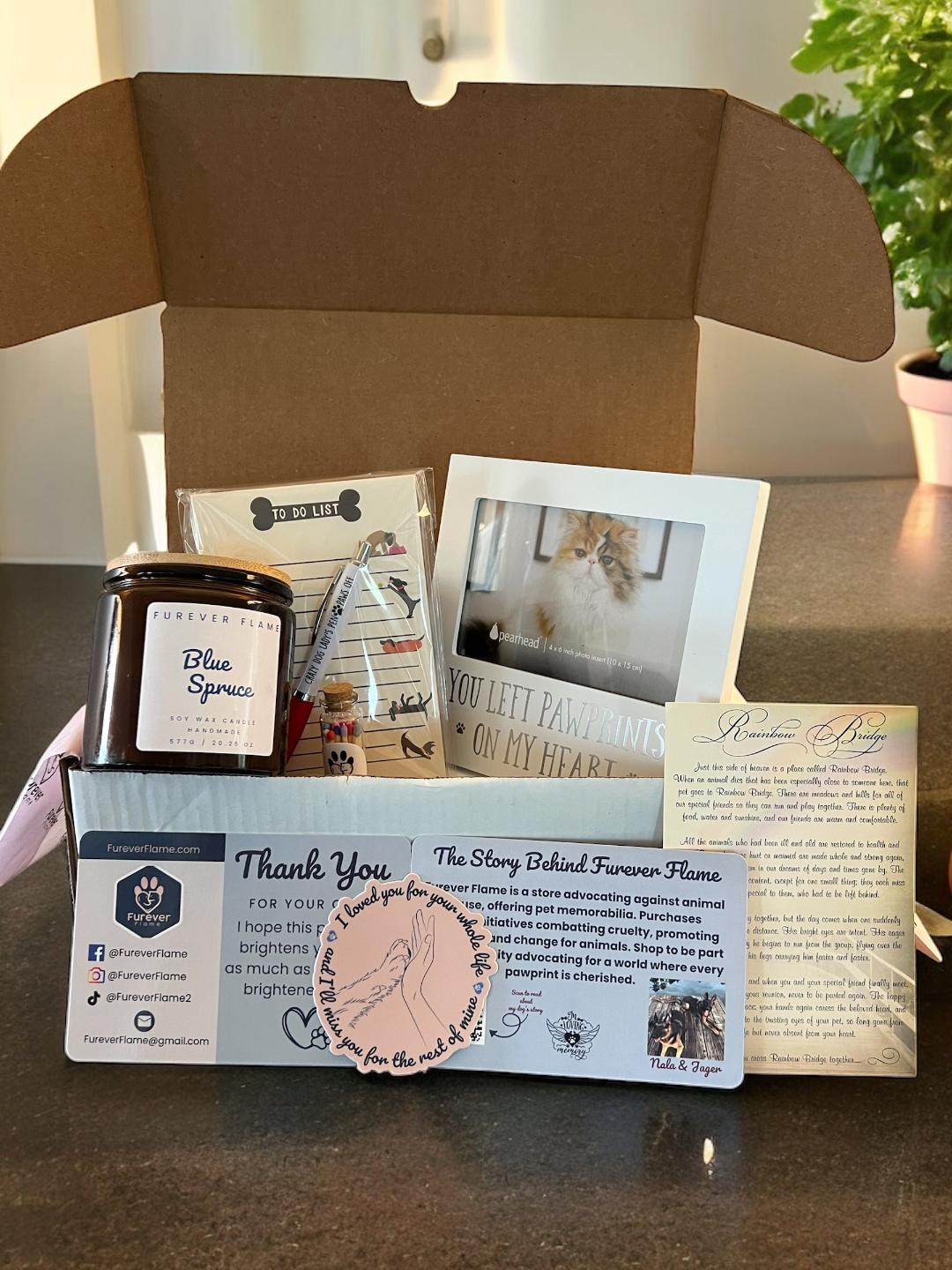 FUREVER FRIEND MEMORIAL BOX